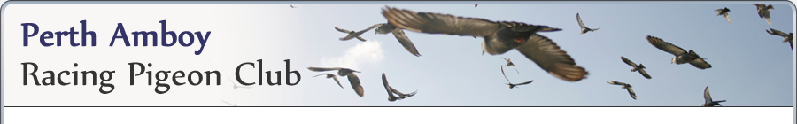 Perth Amboy Racing Pigeon Club